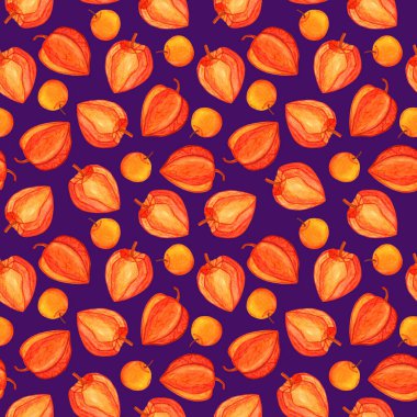 Physalis suluboya arkaplanda izole edilmiş pürüzsüz desen