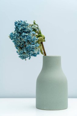 Vazoya kurumuş bir Mavi Ortanca yerleştirildi.