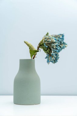 Vazoya kurumuş bir Mavi Ortanca yerleştirildi.