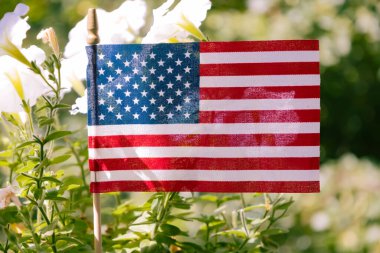 ABD Bayrağı Bağımsızlık Gününde