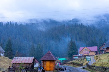 Karpat Dağları, Ukrayna 'daki sisli orman