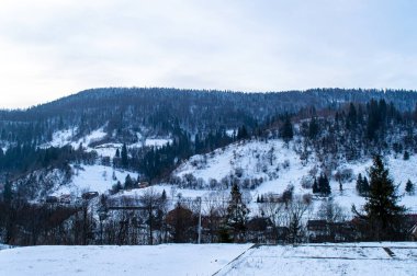 Slavske, Ukrayna 'daki tipik kır manzarası