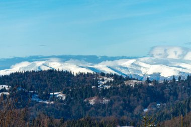 Synevir Hamursuz Bayramı 'ndan panoramik manzara, Karpat Dağları, Ukrayna