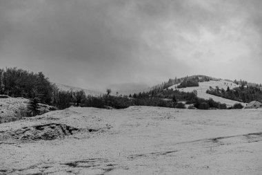 Carpathian mountains in Richka, Nord-East slopes of Polonina Borzhava, Ukraine. Black and white shot