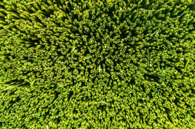 Samandan çatıyı kapat