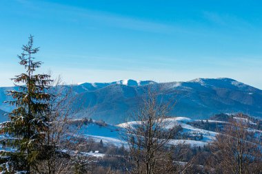 Synevir Hamursuz Bayramı 'ndan panoramik manzara, Karpat Dağları, Ukrayna