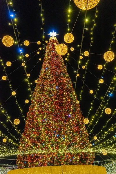 Kyiv Ukraine December 2021 Christmas Tree Sofiivska Square Kyiv Ukraine — Stockfoto