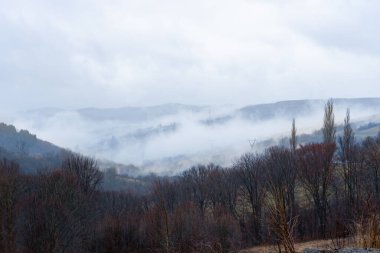 Volovets şehrinin panoramik manzarası, Karpat dağları, Ukrayna