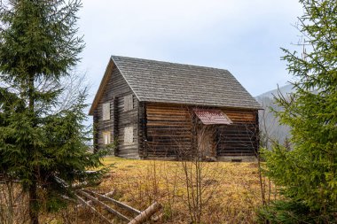 Ormandaki tipik tahta Karpatlar evi.  