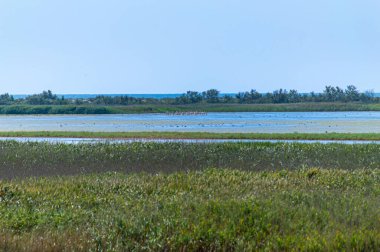 Tuzly Lagünleri Ulusal Doğa Parkı, Ukrayna 'da bir sürü kuşlu Tuzly Amazonia gölleri