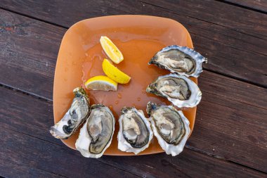 Taze istiridye ve limon turuncu tabakta Ukrayna 'da, Tiligul haliçlerindeki istiridye çiftliğinde.