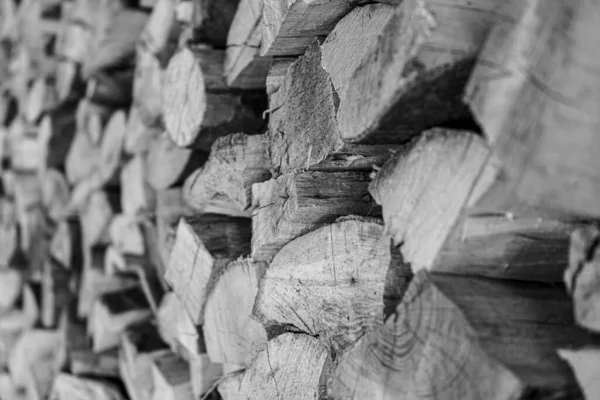 Stacks Firewood Preparation Firewood Winter Pile Firewood Firewood Background — Stock Photo, Image