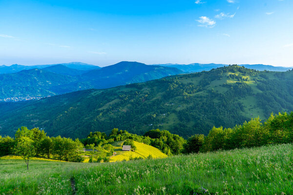 Carpathians mountains landscapes from green meadow on sunrise, Apetska mountain.