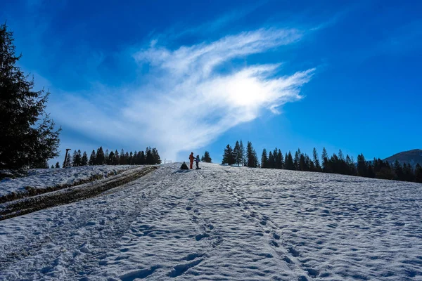 Panoramic View Nord East Slopes Polonina Borzhava Izky Village Carpathian — Stock Photo, Image