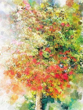 Digital oil painting of maple tree with red and green leaves in fall season