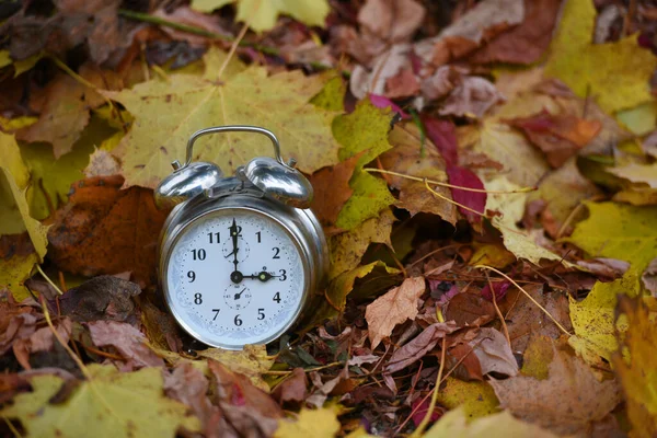 Changement Heure Été Hiver Automne Réveil Dans Les Feuilles — Photo