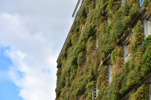 Zielona Fasada Magistratsabteilung Gospodarka Odpadami Miasta Wiedeń Austria Europa — Zdjęcie stockowe