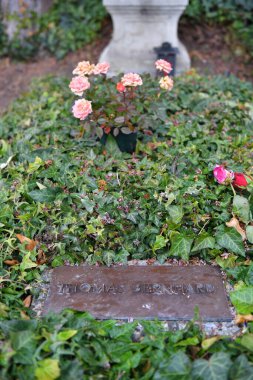 Yazar Thomas Berhards 'ın Viyana, Avusturya, Avrupa' daki Grinzing Mezarlığı 'ndaki mezarı