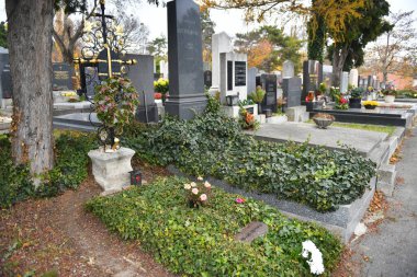 Yazar Thomas Berhards 'ın Viyana, Avusturya, Avrupa' daki Grinzing Mezarlığı 'ndaki mezarı