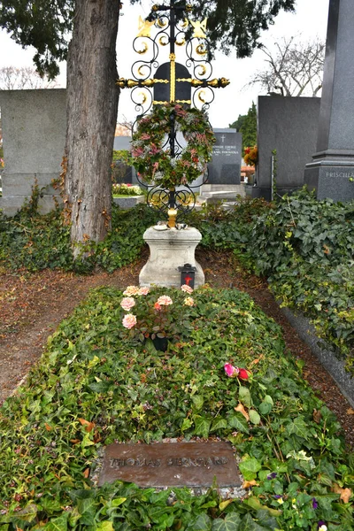 Могила Писателя Томаса Берхардса Кладбище Вене Австрия Европа — стоковое фото