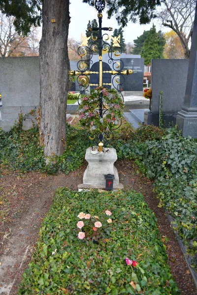 Могила Писателя Томаса Берхардса Кладбище Вене Австрия Европа — стоковое фото