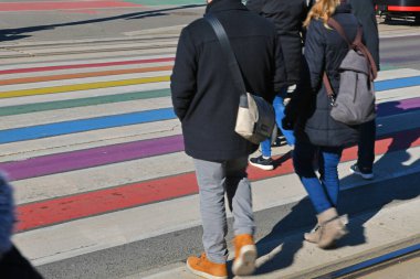Viyana 'da yayalar gökkuşağı renginde belediye binasının yakınında