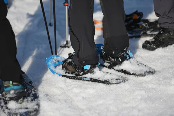 奥地利上奥地利Gmunden区Salzkammergut的Feuerkogel山上的雪鞋徒步旅行者 — 图库照片
