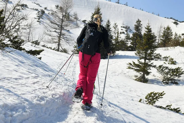 奥地利上奥地利Gmunden区Salzkammergut的Feuerkogel山上的雪鞋徒步旅行者 — 图库照片