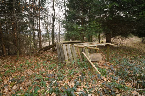 Yukarı Avusturya 'da bir ormanda düşmüş bir avcı derisi.