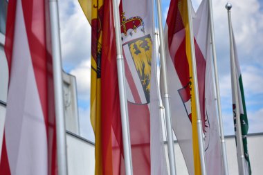 Adil bir salonun önünde Avusturya federal eyaletlerinin bayrakları