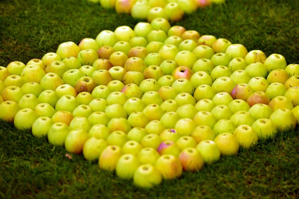 Sample with apples at the Tulln Garden Fair