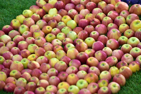 Sample with apples at the Tulln Garden Fair