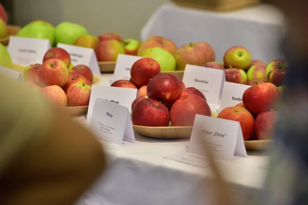 Apple tasting at the garden fair in Tulln