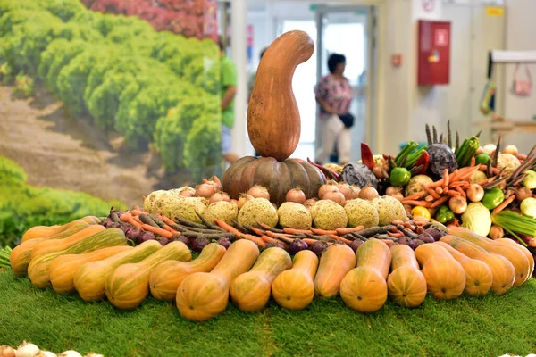 Decoration with different types of vegetables at a garden fair in Austria