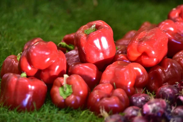 Decoration with different types of vegetables at a garden fair in Austria