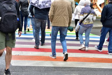 Avusturya 'nın Linz şehrinde gökkuşağı renklerinde yayalar