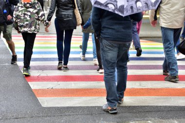 Avusturya 'nın Linz şehrinde gökkuşağı renklerinde yayalar