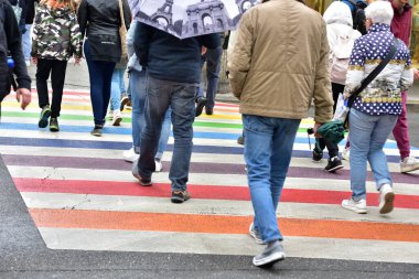 Avusturya 'nın Linz şehrinde gökkuşağı renklerinde yayalar