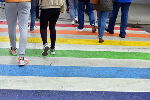 Avusturya 'nın Linz şehrinde gökkuşağı renklerinde yayalar