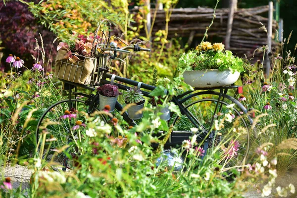 Rower Ozdobiony Kwiatami Ogrodzie Pokazowym Tulln — Zdjęcie stockowe