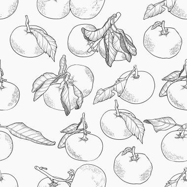 narenciye vektör desen, kroki