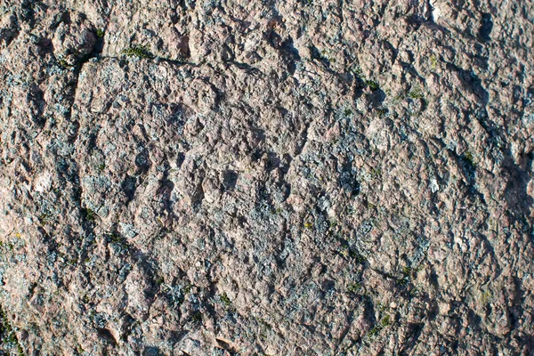 Patrón Fondo Una Piedra Cubierta Musgo Azul Cerca —  Fotos de Stock