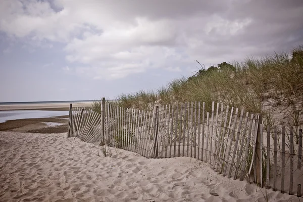 Stranden fence - chapin beach, dennis, ma — Stockfoto