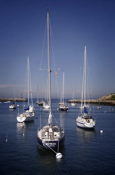 Rockport segelbåtar — Stockfoto