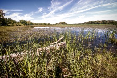 Nehir Marsh