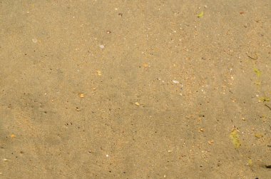 Dalgadan sonra kumsal. Kum ıslak ve yoğun..   .    .