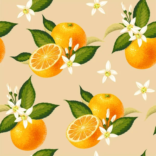 Patrón sin costura vectorial con fruta y hoja de naranja Ilustración De Stock