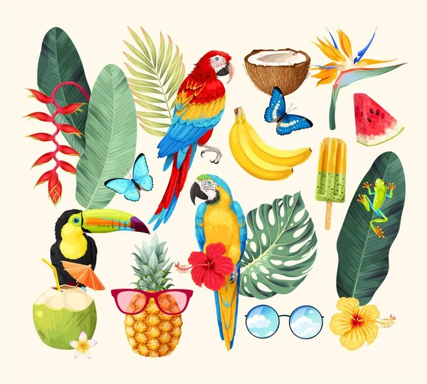 Conjunto vectorial de flora y fauna tropical Ilustración De Stock
