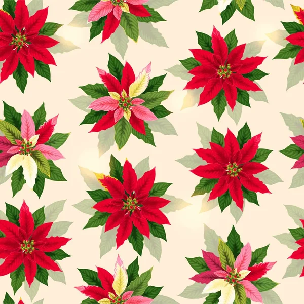 Vektor sömlöst mönster med röd julstjärna blomma — Stock vektor