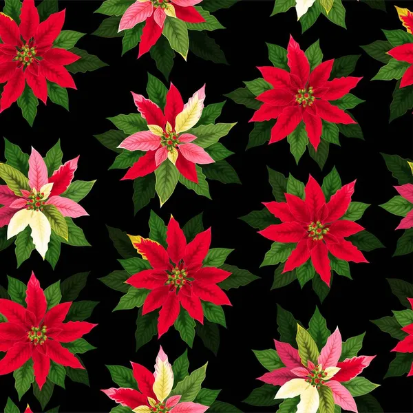 Vector seamless pattern with red poinsettia flower — Stock Vector
